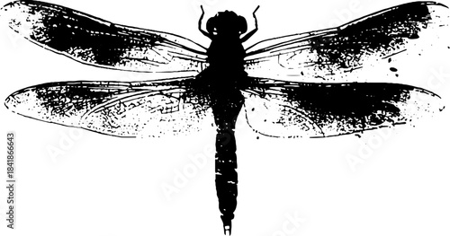 Black and white geometric insect stencil design for artistic projects