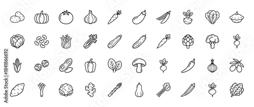 Vegetable line icon set. Vector pictograms of potato, pumpkin, tomato, garlic, carrot, eggplant, broccoli, corn, mushroom, onion and pepper, thin outline illustration.