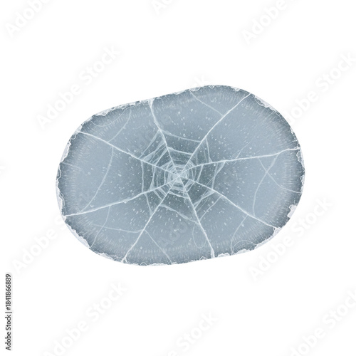 Frozen puddle with intricate ice cracks texture.