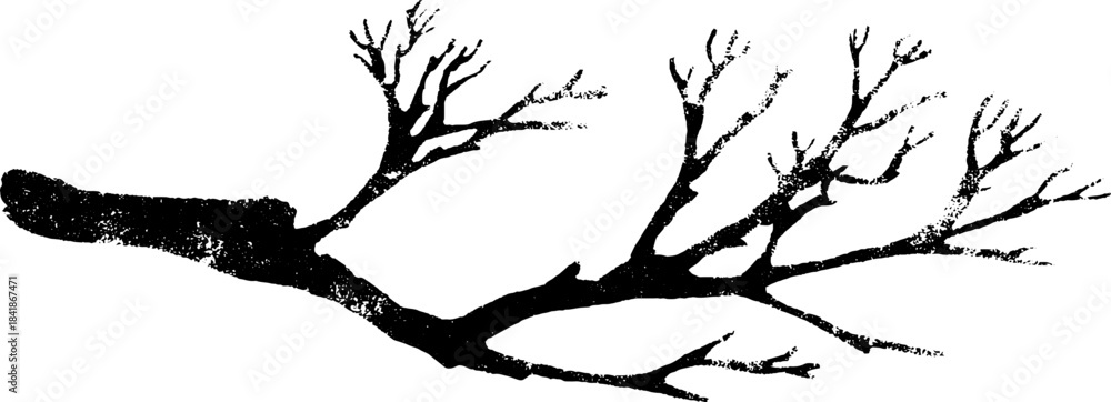 Obraz premium Black and white minimal twig stencil illustration for nature-inspired designs