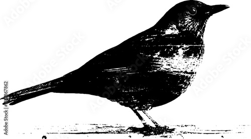 Black and white stencil of perched bird silhouette for artistic designs