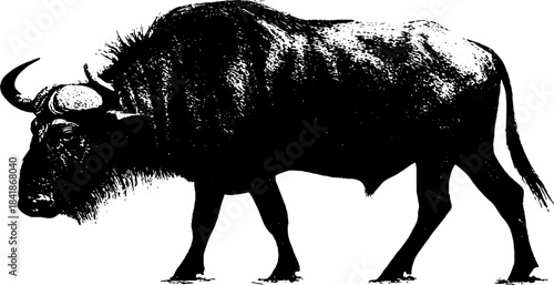 Black and white stencil illustration of a bison silhouette for urban art design
