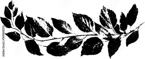 Black and white stencil leaf pattern for creative design
