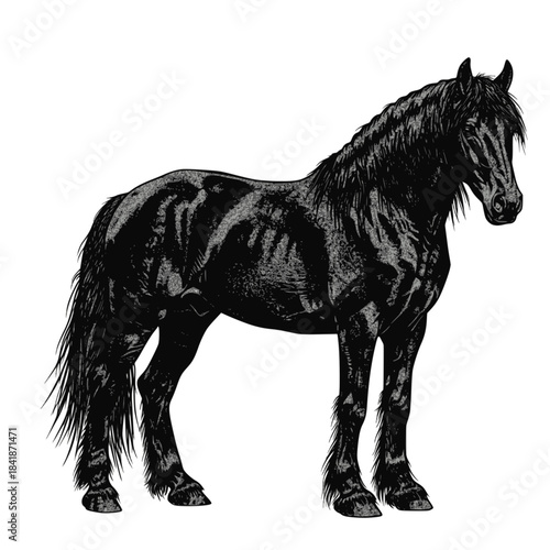 Horse silhouette vector illustration image. Transparent background SVG version.