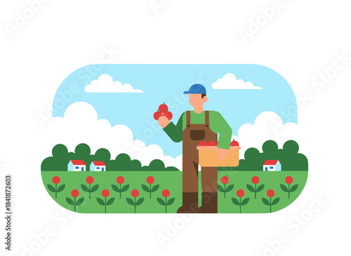 A farmer gathers produce from an agricultural field, a farm worker collects ripe beets into a basket in a vegetable garden, a man works in a summer organic plantation, all depicted as a flat vector