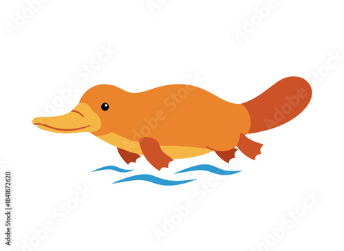Illustrated in flat vector style on a white background, the duck‑billed platypus is an exotic, tropical, endemic Australian aquatic mammal belonging to the country’s wild fauna