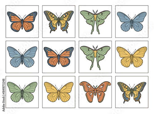 A vintage-style collection of butterflies and moths, featuring outlined sketches and retro, detailed line drawings, presented as engraved hand-drawn vector illustrations set against a white