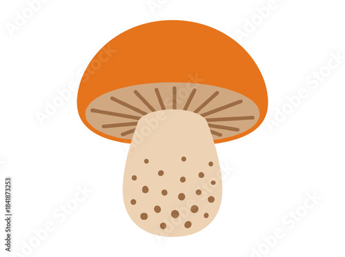 A fall-season edible mushroom icon, Leccinum, depicted as fresh fungi with a gilled cap, stalks, and stipe in a flat vector illustration against a white background