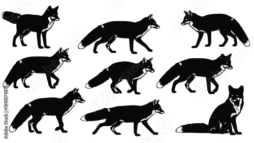 A set of nine black fox silhouettes captured in different poses on white background