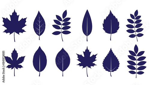 Set of various leaf icons and silhouettes representing different types of trees