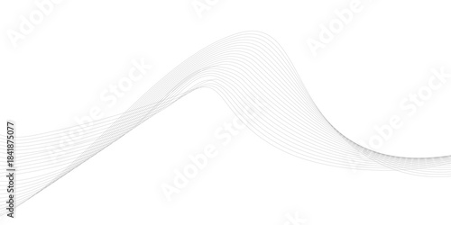 Vector curve wave line seamless pattern. Gray curved line for banner design and frequency sound wave line. Future technology concept.