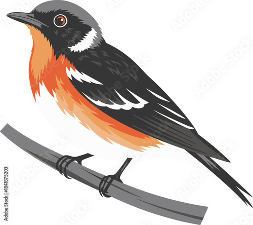 Colorful perched songbird artwork depicting a detailed wildlife illustration with vibrant feathers, natural branch setting, elegant avian posture, and modern minimalist nature design elements