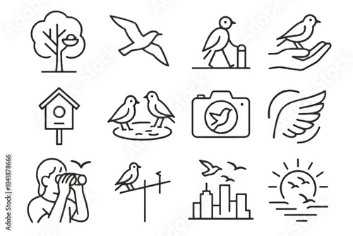 Pedestrian icons hand icon birdwatching nest motion overlay perched quiet wing urban