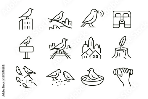 Chirping small holding birdwatch vector birdwatching icon layered tall urban bird park