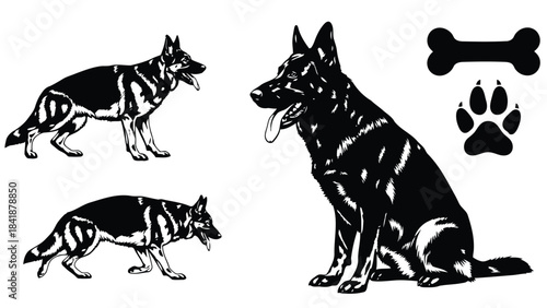 Illustration of a german shepherd in various poses with bone and paw print icons