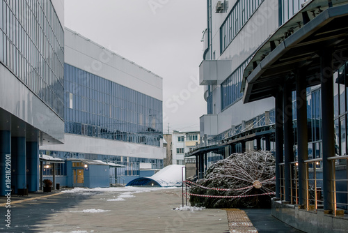 A large fir tree, ready to be installed for Christmas, lies near the entrance to the building.