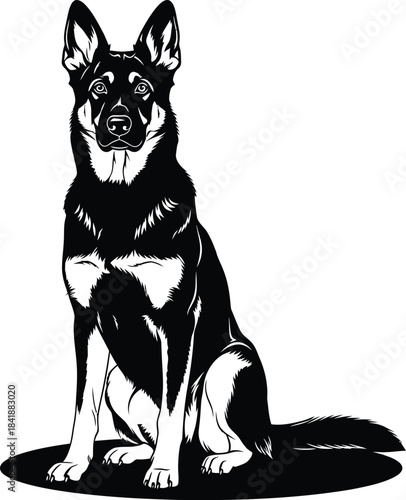 German Shepherd Dog Sitting Vector Illustration