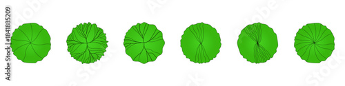Vector set of deciduous tree top view images for plans, maps, and architectural drawings, isolated on a transparent background.