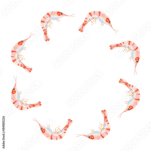 Round frame with shrimps, seafood theme, hand drawn, vector.