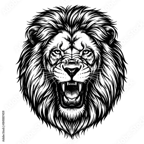 Roaring Lion Head Illustration with Detailed Mane and Sharp Teeth.