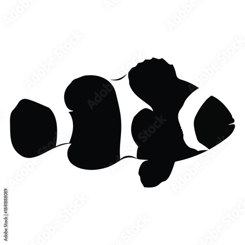 Clownfish silhouette graphic illustration, marine life, underwater ocean dweller