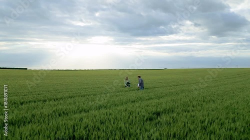 Aerial view of male and female farmers standing in green wheat field examining crop.