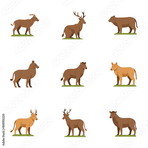 Collection of various wild animals in a flat design style.