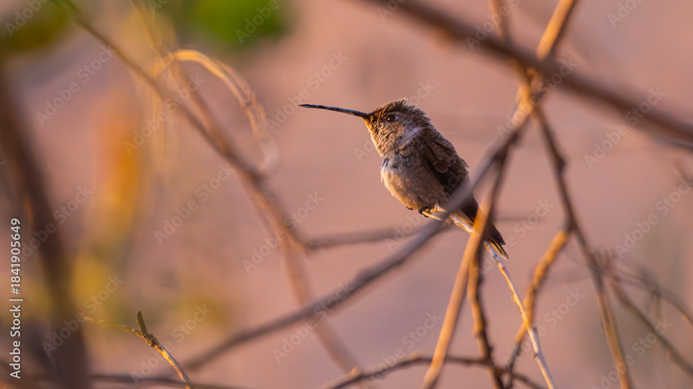 Fototapeta premium Un instante de calma.