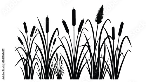 Cattail and Reed Silhouette Wetland Border Graphic