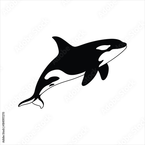 Orca Whale Icon – Killer Whale Silhouette Vector Illustration