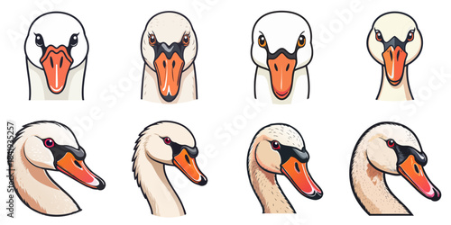 Multiple vector illustrations of cute swan faces
