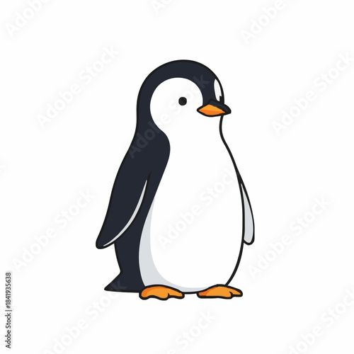 penguin on a white background