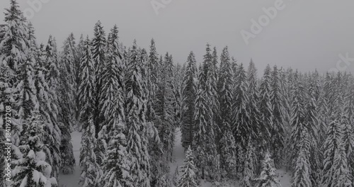 Drone Forêt enneigé dans les nuages