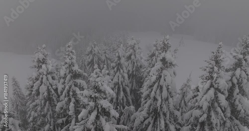 Drone Forêt enneigé dans les nuages