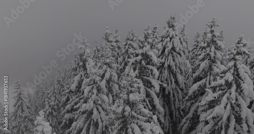 Drone Forêt enneigé dans les nuages