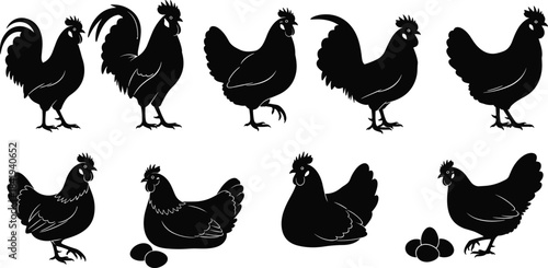 Collection of chicken, hen and rooster silhouettes with eggs, farm poultry illustration set perfect for agriculture, livestock graphics and rural-themed designs
