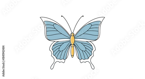 Beautiful Blue Butterfly with Delicate Wings and Yellow Body.