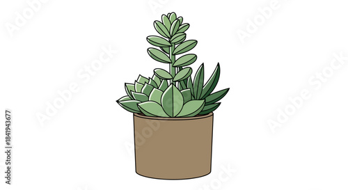 Minimalist illustration of a potted succulent plant with green leaves.