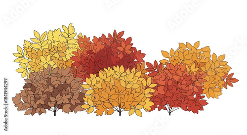 Vibrant Autumn Foliage Displaying a Rich Tapestry of Fall Colors.