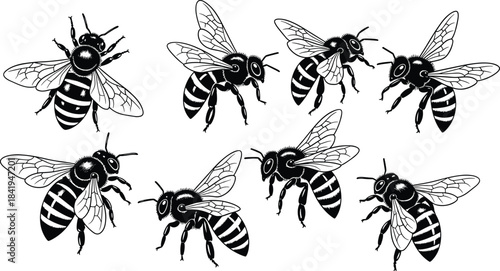 Set of honey bee vector illustrations, black and white insect silhouettes flying and standing, isolated on white background for nature logo design.