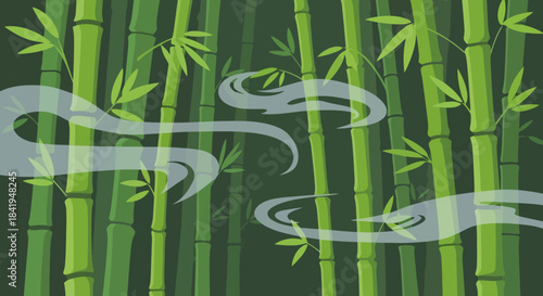 Lush Green Bamboo Forest with Wisps of Mist and Fog.