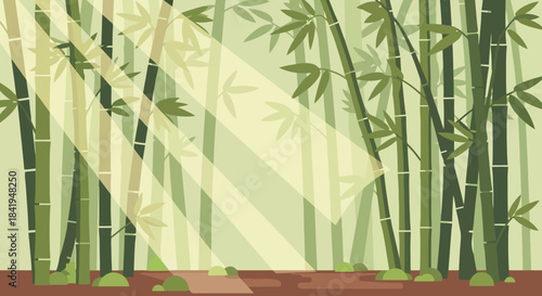 Lush Green Bamboo Forest with Sunlight Filtering Through Leaves.