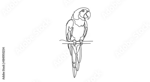 Monochrome minimalist contour drawing of a majestic parrot perched on a branch with a