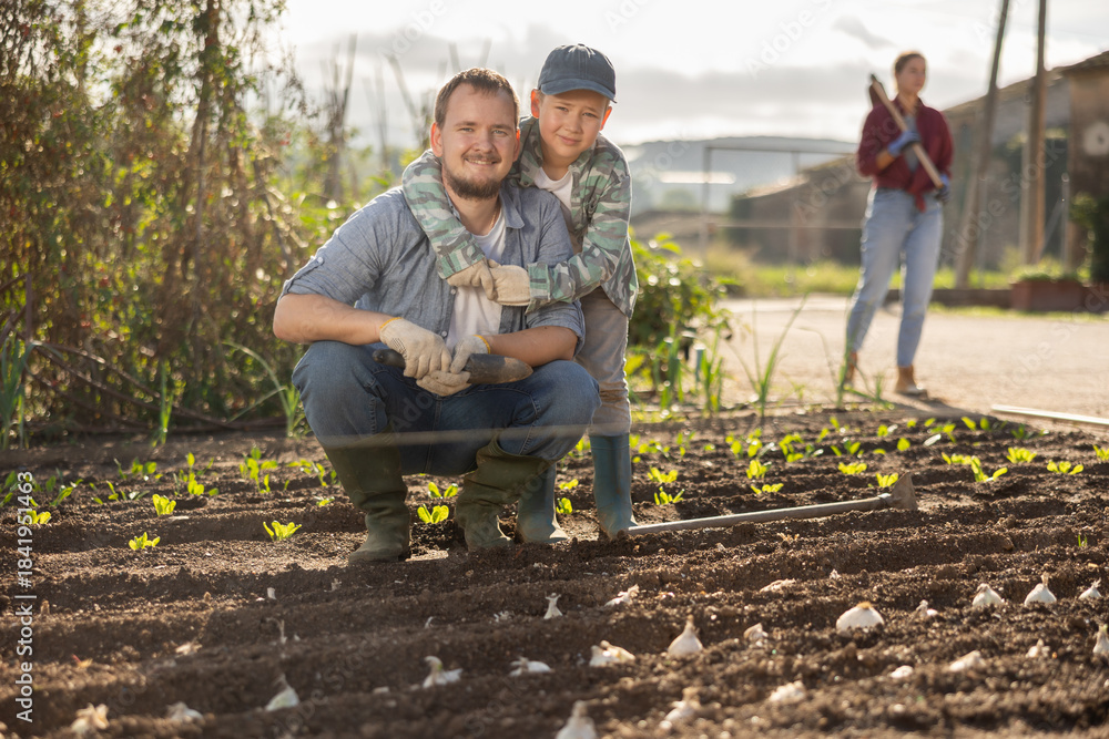Fototapeta premium Farmer and his son plant garlic in cultivated and fertilized soil in the garden. Family of farmers grows organic vegetables and herbs. Seed planting season on the farm.