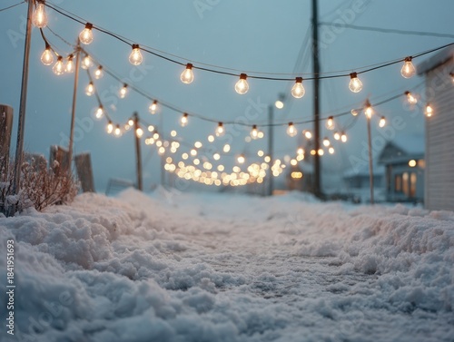 Snowy Pathway Illuminated by Strung Lights in a Winter Landscape