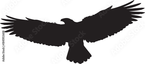 Black silhouette of an eagle in flight with wings spread wide