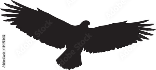 Silhouette of a large bird of prey, possibly an eagle or hawk, in flight