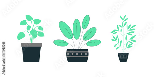 Decorative houseplants collection in pots, indoor plants in flower pots, vases and baskets, natural greenery for home interior design isolated vector set