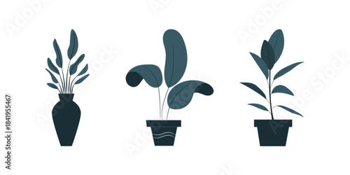 Hand drawn vector set of houseplants outline drawings with succulents in pots decorative botanical sketch elements indoor foliage natural illustration design