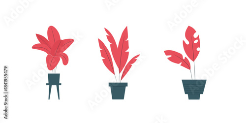 Vector illustration of indoor plants in flower pots vases and basket for home interior isolated on white background decorative botanical foliage design